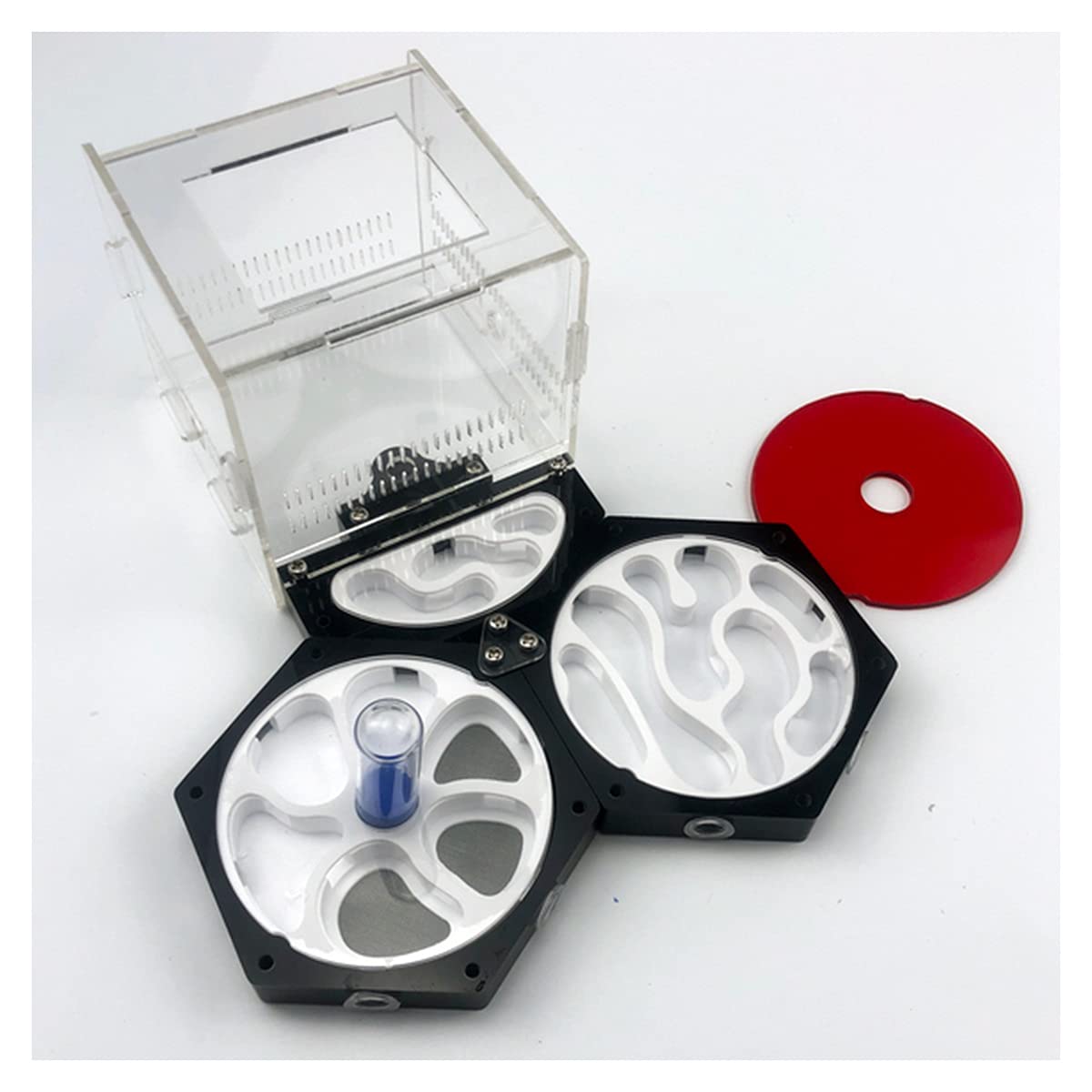 Amazon.co.jp: アリの巣 スケーラブル アリの巣アリ飼育キット